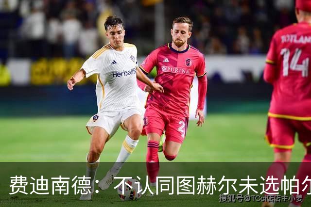 费迪南德：不认同图赫尔未选帕尔默的决定，后者在大赛证明过自己
